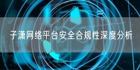 子潇网络平台安全合规性深度分析
