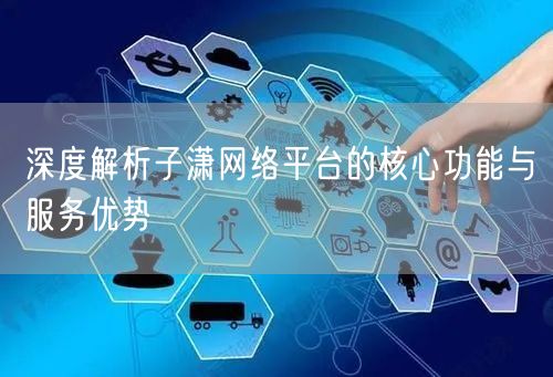 深度解析子潇网络平台的核心功能与服务优势
