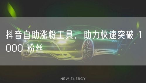 抖音自助涨粉工具，助力快速突破 1000