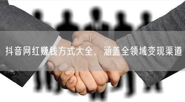 抖音网红赚钱方式大全，涵盖全领域变现渠道