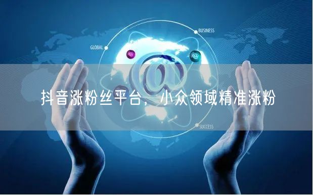 抖音涨粉丝平台，小众领域精准涨粉