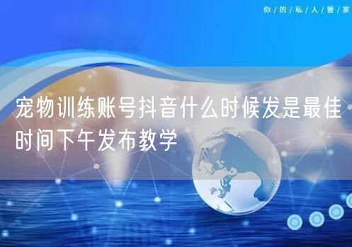 宠物训练账号抖音什么时候发是最佳时间下午