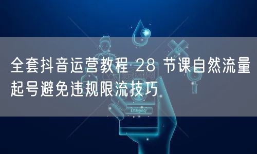 全套抖音运营教程 28 节课自然流量起号