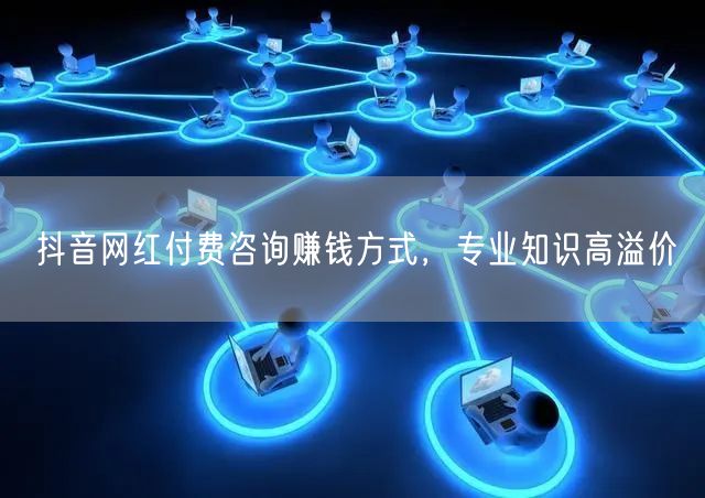 抖音网红付费咨询赚钱方式，专业知识高溢价