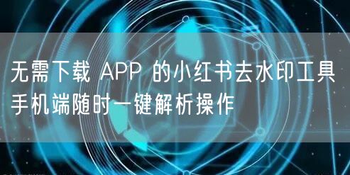 无需下载 APP 的小红书去水印工具 手
