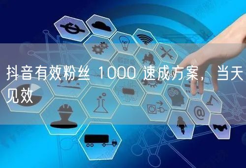 抖音有效粉丝 1000 速成方案，当天见