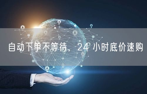 自动下单不等待，24 小时底价速购