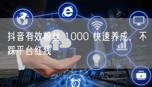 抖音有效粉丝 1000 快速养成，不踩平