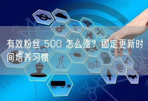 有效粉丝 500 怎么涨？固定更新时间培