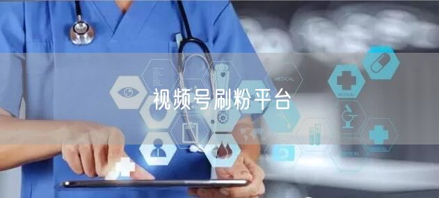 视频号刷粉平台