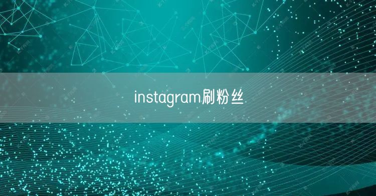 instagram刷粉丝