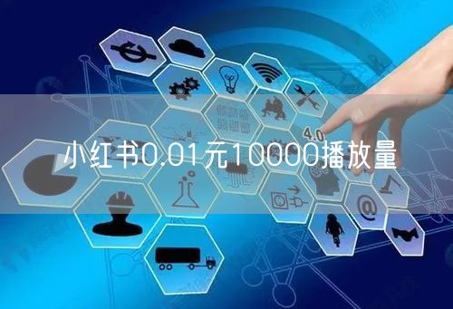 小红书0.01元10000播放量