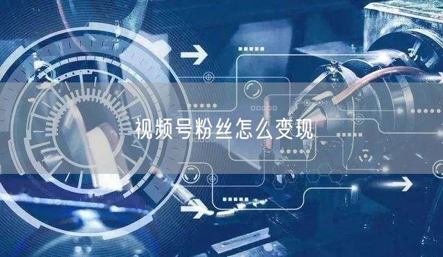 视频号粉丝怎么变现