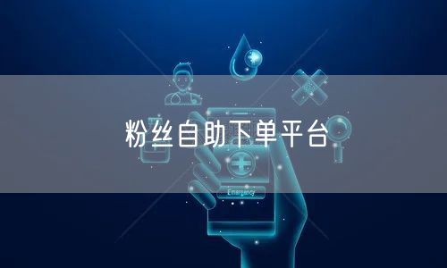 粉丝自助下单平台