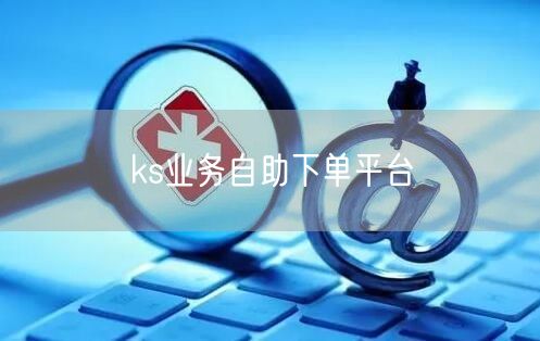 ks业务自助下单平台