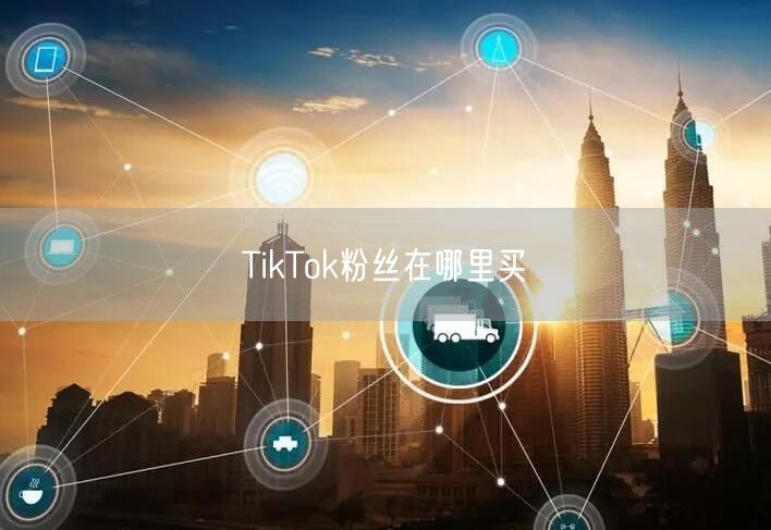 TikTok粉丝在哪里买