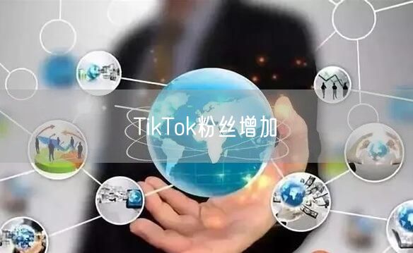 TikTok粉丝增加