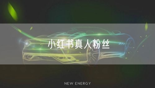 小红书真人粉丝
