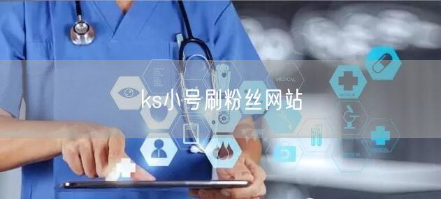 ks小号刷粉丝网站