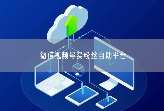 微信视频号买粉丝自助平台