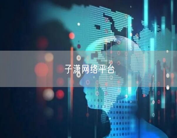 子潇网络平台
