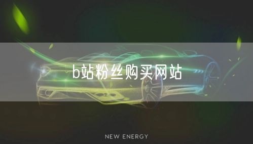 b站粉丝购买网站